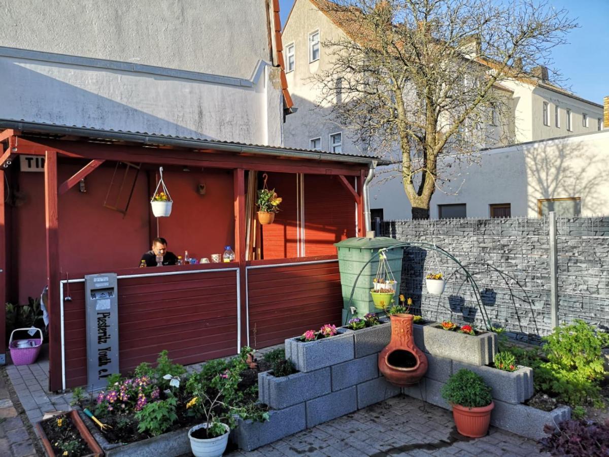 Pension Zur Gartenstadt Wittenberg Kültér fotó